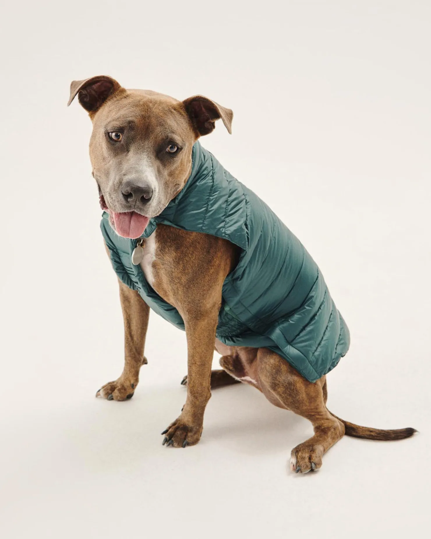 JOTT Down Jacket For Dogs Dark Green Woop 203 Dark Green Outlet