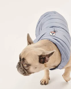 JOTT Washed Blue Dog Jacket Woop 182 Faded Blue Flash Sale