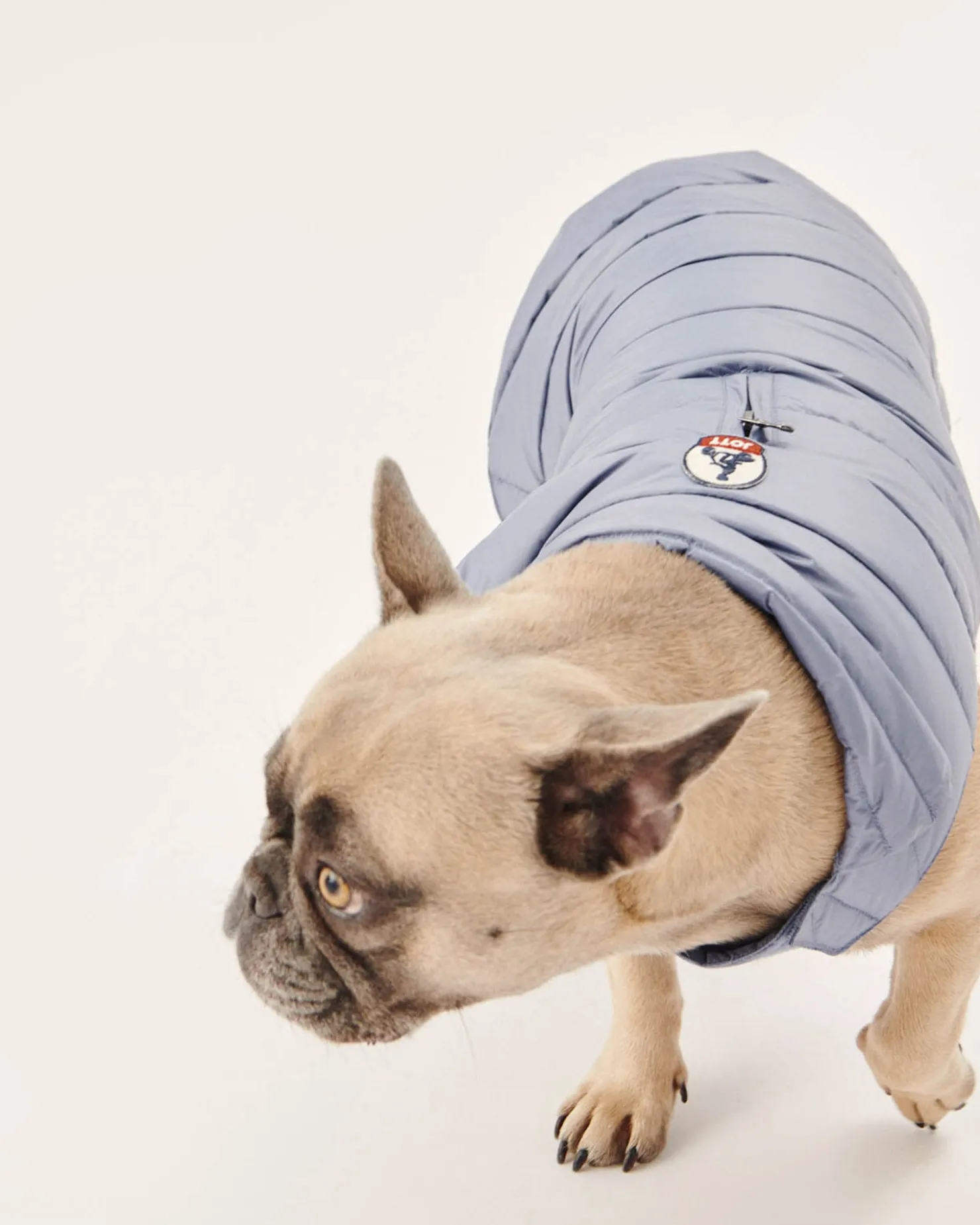 JOTT Washed Blue Dog Jacket Woop 182 Faded Blue Flash Sale