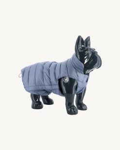JOTT Washed Blue Dog Jacket Woop 182 Faded Blue Flash Sale